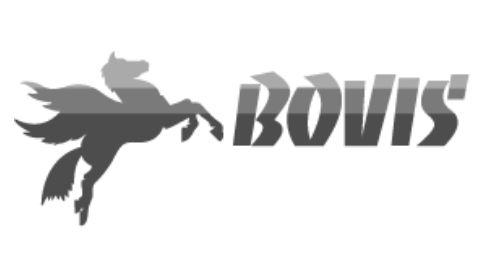 bovis