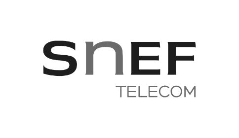 snef